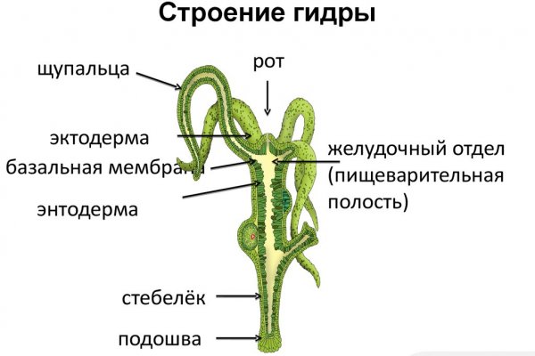 Кракен что за сайт