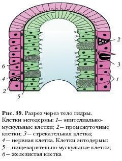 Как зарегистрироваться на сайте кракен