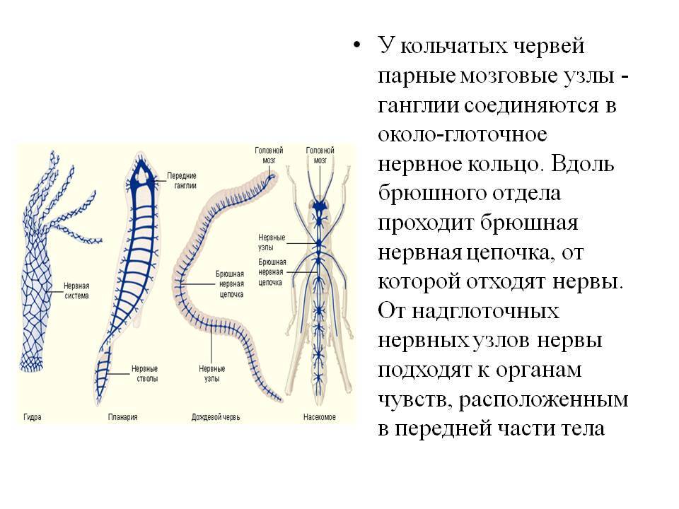 Как найти сайт кракен